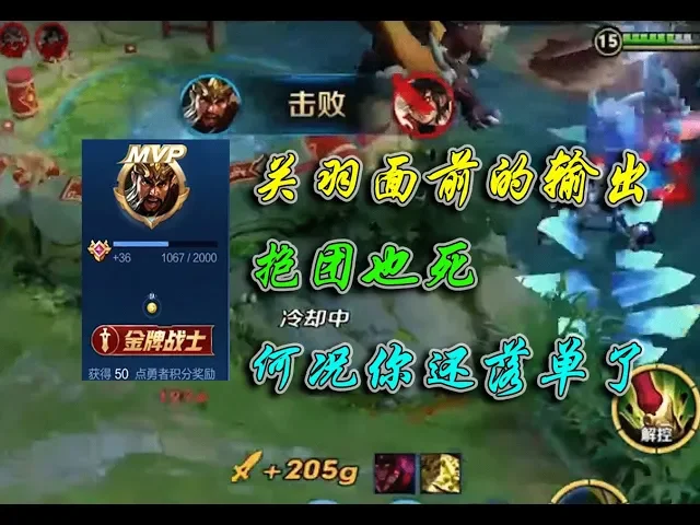 《王者荣耀-巅峰赛》骚白: 关羽面前的输出 抱团也死 何况你还落单了 | honor of kings